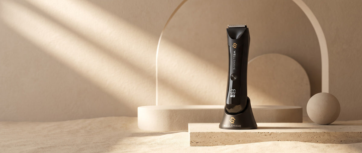 Wellshave Groom Guard bodygroomer in de oplaadstandaard op een zandstenen sokkel in warm zonlicht